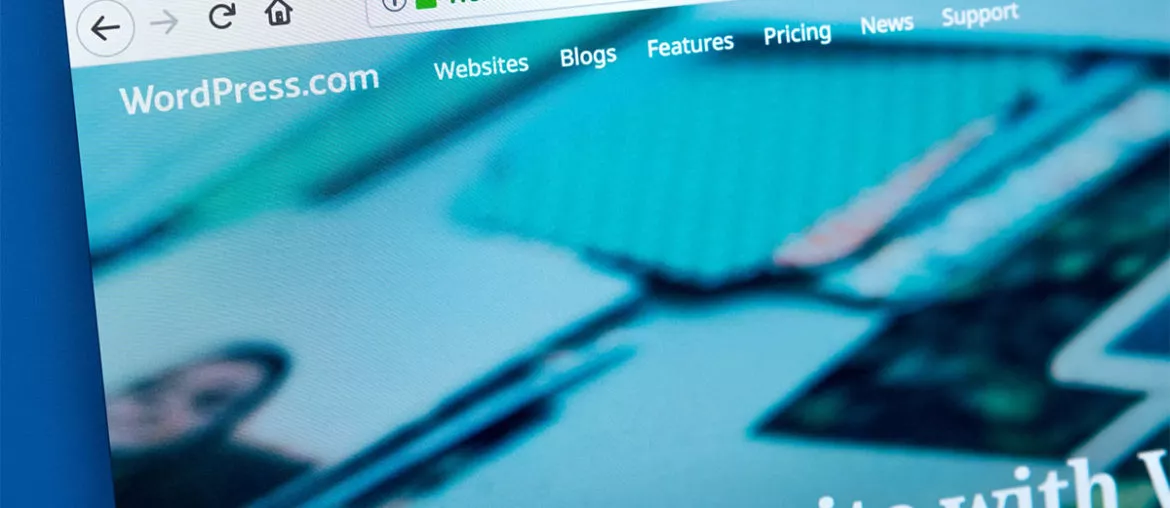 The homepage of the official website for WordPress - How to create a cost-effective Website. Image by chrisdorney